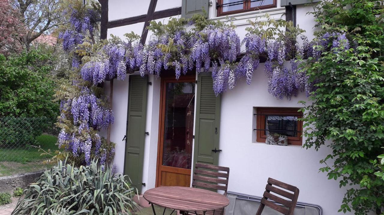 Gitehaushaltermerkwiller Exterior photo